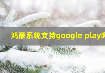 鸿蒙系统支持google play吗